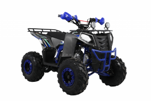  Wels ATV THUNDER EVO 125 X ST s-dostavka  -  .       
