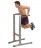   Body Solid   GDIP-59   -  .       