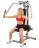   Body Solid   GPM-65        -  .       
